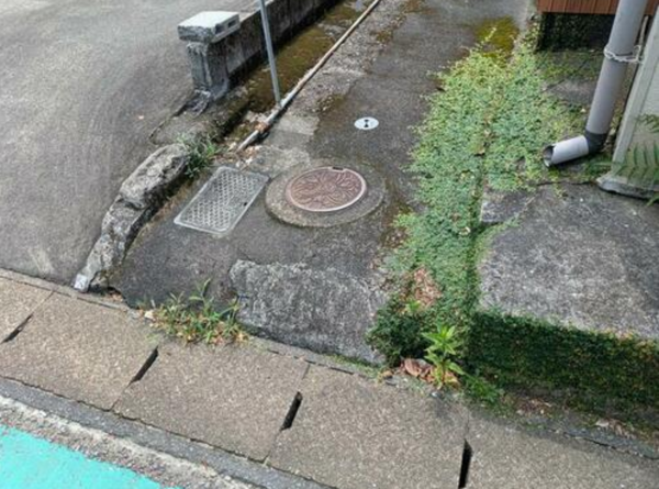 宮崎市青島、土地の画像です