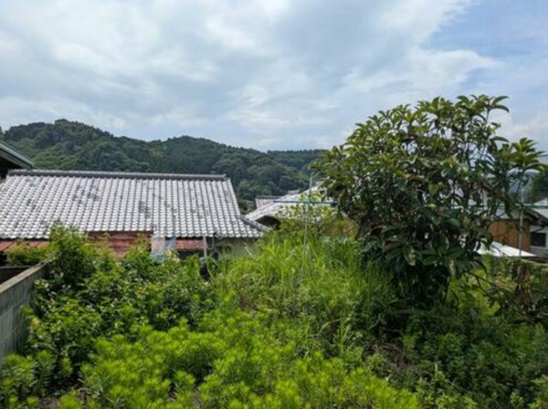 宮崎市青島、土地の画像です