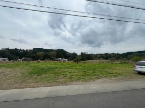 宮崎市高岡町、土地の画像です