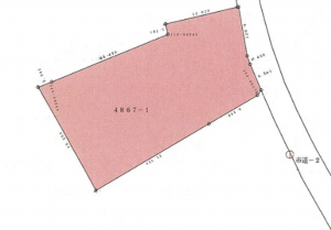 宮崎市大字田吉、土地の間取り画像です