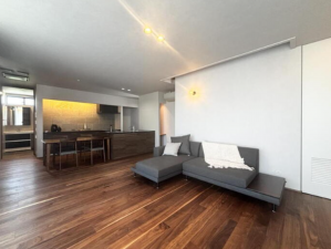 宮崎市花山手東、新築一戸建ての画像です