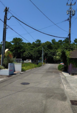 宮崎市青島、土地の画像です