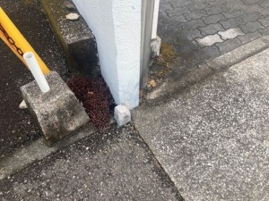 宮崎市大坪西、中古一戸建ての画像です