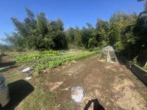 宮崎市下北方町、土地の外観画像です