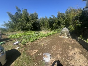 宮崎市下北方町、土地の外観画像です