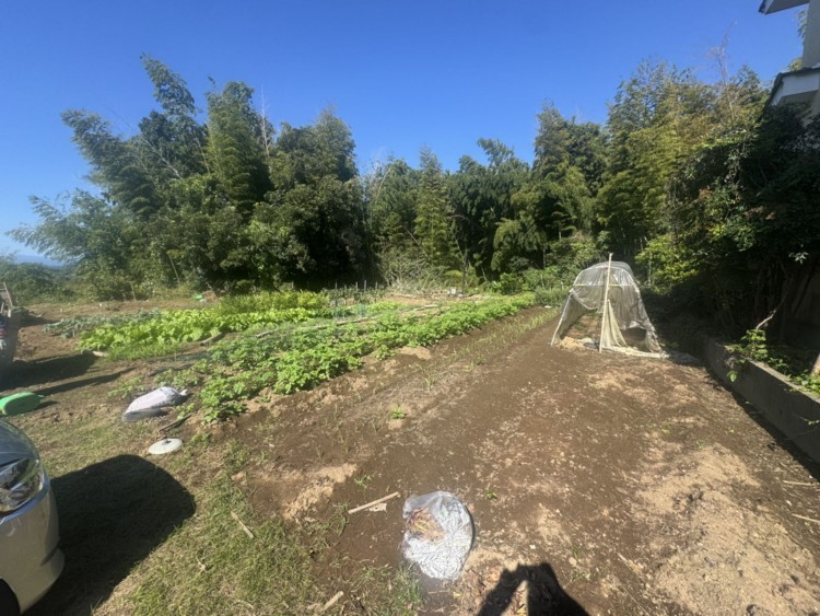 宮崎市下北方町、土地の外観画像です