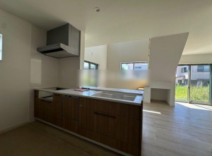 宮崎市吉村町、新築一戸建ての画像です