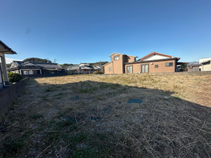 宮崎市佐土原町、土地の画像です