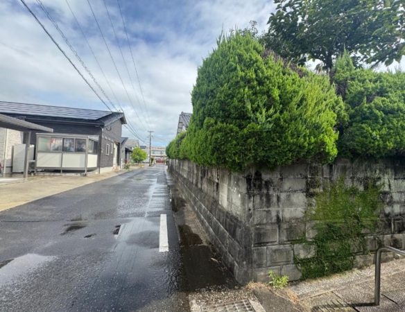 宮崎市大字島之内、土地の画像です
