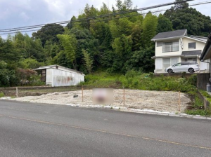 宮崎市佐土原町、土地の画像です