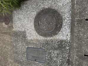 宮崎市本郷、土地の外観画像です