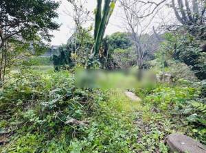 宮崎市大坪町、土地の画像です