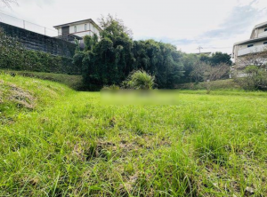 宮崎市大坪町、土地の画像です