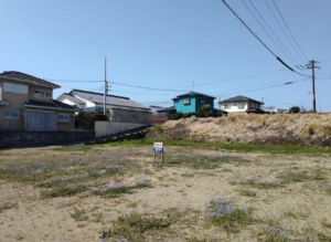 宮崎市佐土原町、土地の画像です