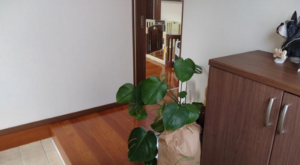 宮崎市大字赤江、中古一戸建ての画像です