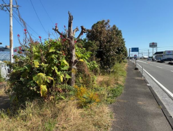 宮崎市大字郡司分、土地の画像です