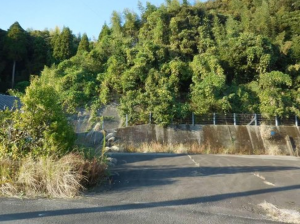 宮崎市大字新名爪、土地の画像です