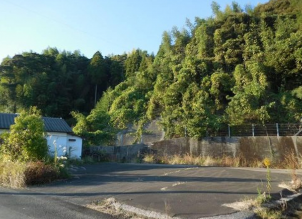 宮崎市大字新名爪、土地の画像です