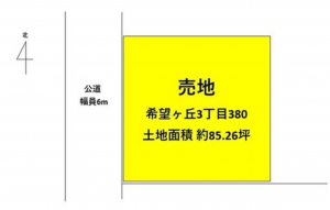 宮崎市希望ケ丘、土地の間取り画像です