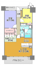 宮崎市丸山、マンションの間取り画像です