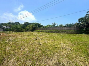 宮崎市青島、土地の画像です