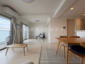 宮崎市柳丸町、マンションの画像です