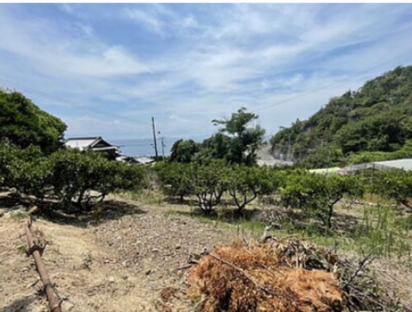 三豊市詫間町大浜、土地の外観画像です