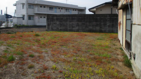 観音寺市昭和町、土地の外観画像です
