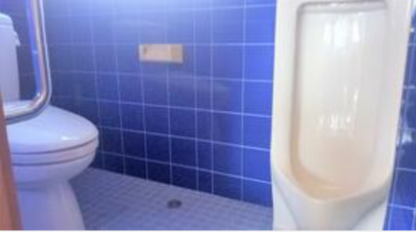 観音寺市柞田町、中古一戸建てのトイレ画像です