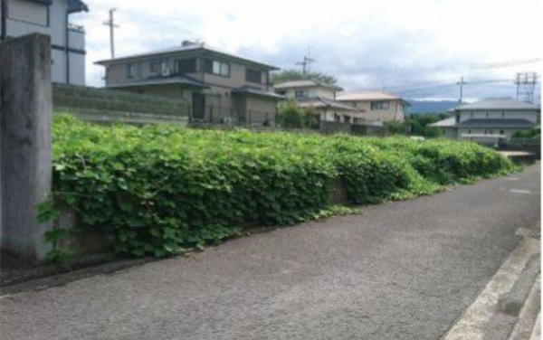 観音寺市池之尻町、土地の外観画像です