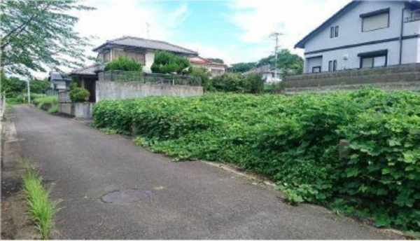 観音寺市池之尻町、土地の外観画像です
