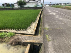 観音寺市木之郷町、土地の外観画像です