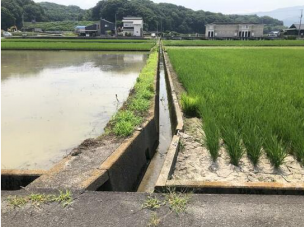 観音寺市木之郷町、土地の外観画像です