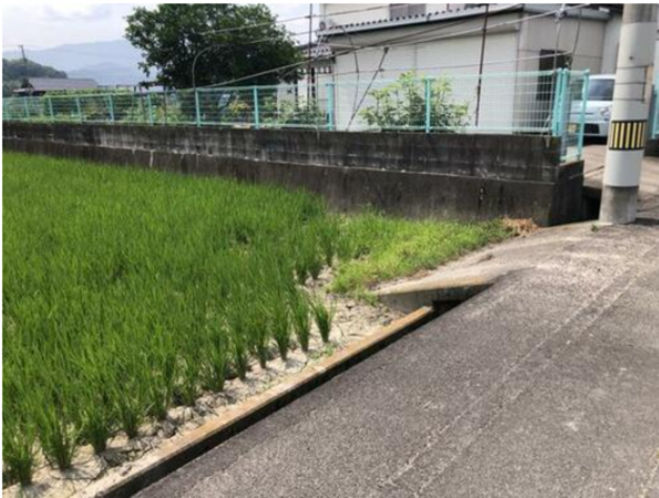 観音寺市木之郷町、土地の外観画像です