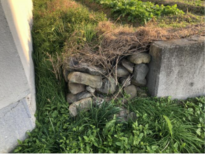 観音寺市豊浜町姫浜、土地の外観画像です