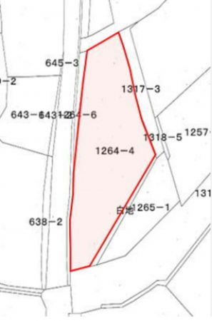 三豊市高瀬町羽方、土地の間取り画像です