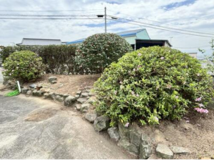 三豊市豊中町上高野、中古一戸建ての外観画像です