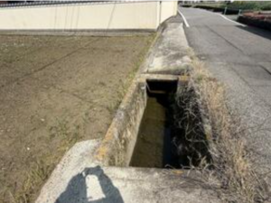 三豊市豊中町笠田竹田、土地の前面道路を含む現地写真画像です