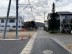 松本市筑摩現地写真（撮影日：2023年12月）