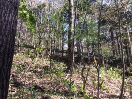 売地 東筑摩郡山形村字清水高原 
