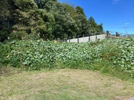 売地 上水内郡飯綱町豊野 
