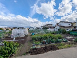 売地 松本市波田 