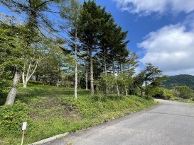 売地 佐久市内山 