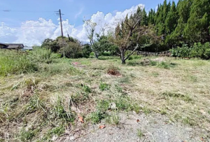 佐賀市高木瀬町、土地の外観画像です