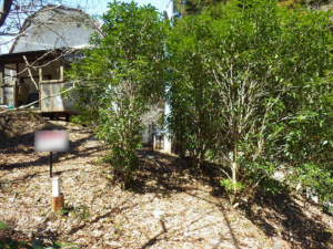 佐賀市富士町、土地のその他画像です