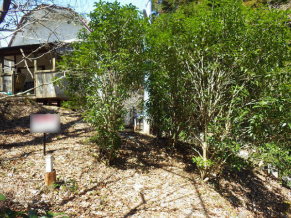 佐賀市富士町、土地のその他画像です