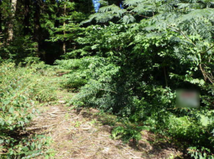 佐賀市富士町、土地のその他画像です