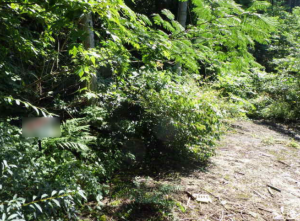 佐賀市富士町、土地のその他画像です