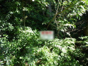 佐賀市富士町、土地のその他画像です