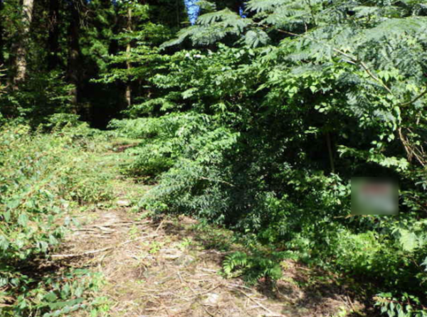 佐賀市富士町、土地のその他画像です